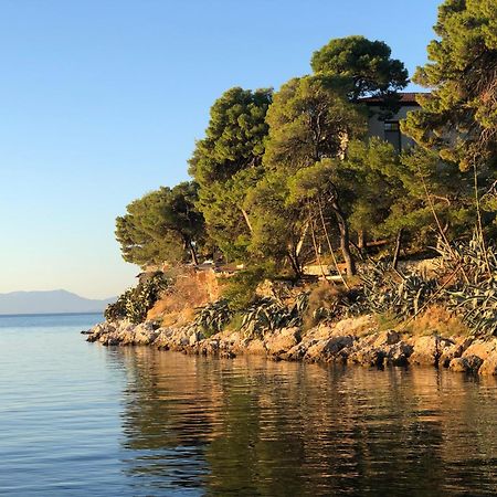 Olive Green House Villa Skiathos Town Bagian luar foto